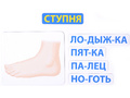 Магнитное развивающее пособие: "Тело человека: первые вопросы - первые ответы"
