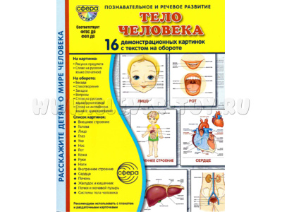 Демонстрационные картинки СУПЕР. Тело человека (16 шт.) в папке