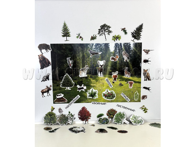 Магнитный плакат Лес с набором карточек (мобильный)