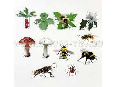 Набор магнитных карточек Лесные опасности? (к плакату Лес, тема 10)