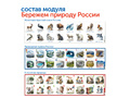 Природные богатства России с РобоМышью с системой хранения (4 робота)