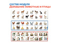 Наше сельское хозяйство с РобоМышью (6 модулей с системой хранения)